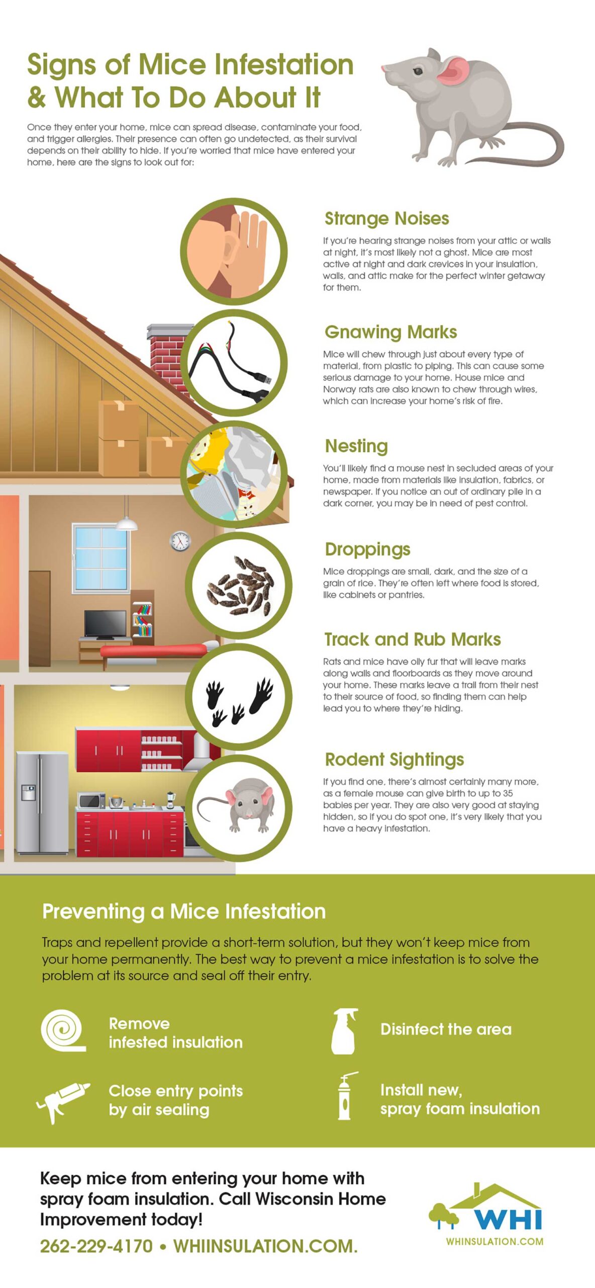 Mice Infestation Infographic for WHI